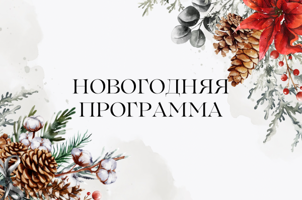 Новогодняя программа базы отдыха «Боровое»
